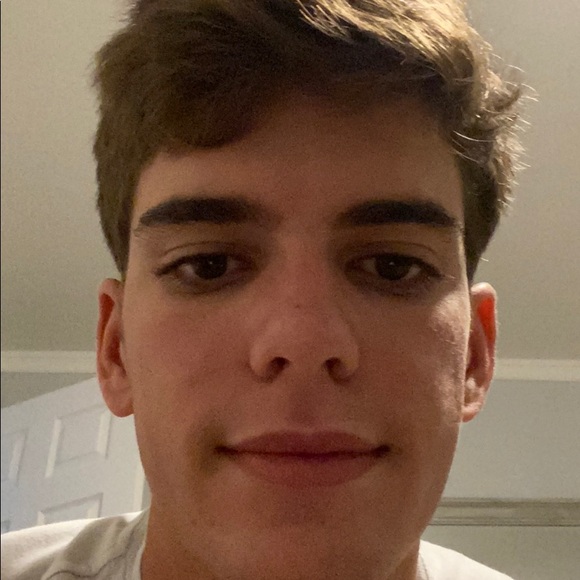 Meet your Posher, Henry - Picture 1 of 1